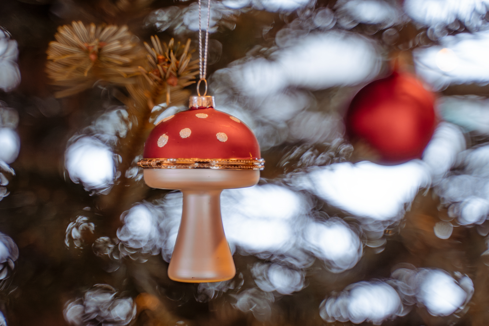 Weihnachten-auf-dem-Landgut-Walkemühle-Frankenberg-Eder-Nordhessen_XV